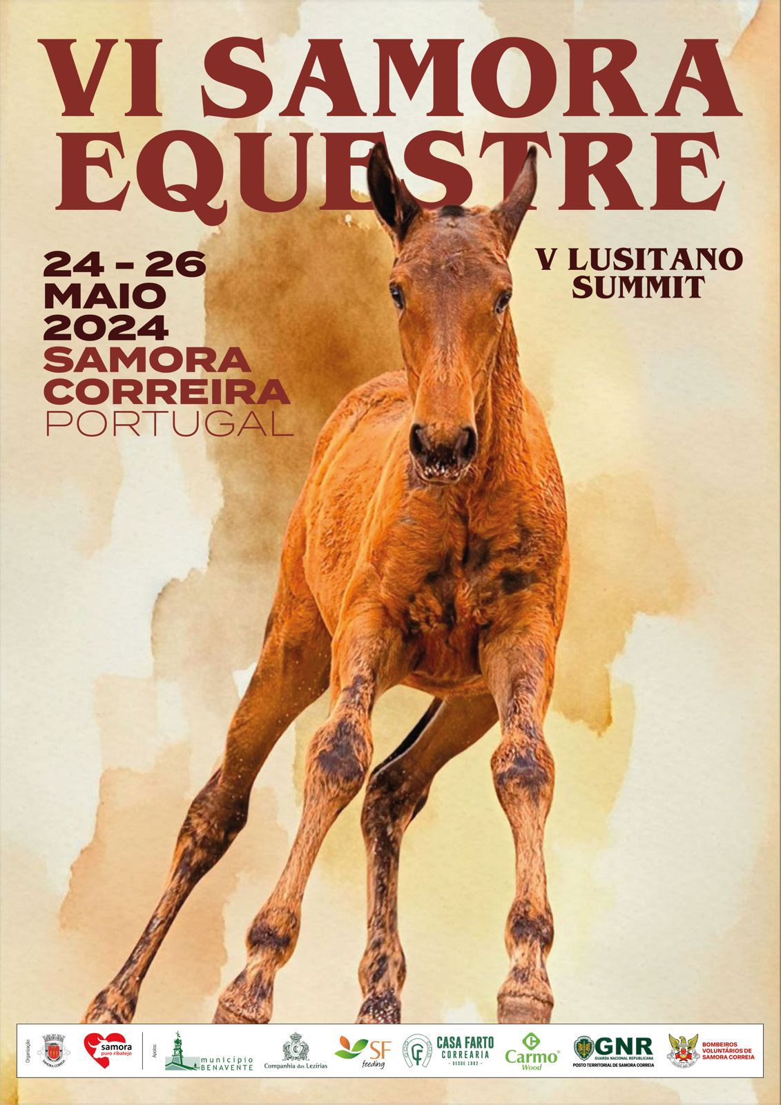 Imagem VI SAMORA EQUESTRE - V LUSITANO SUMMIT