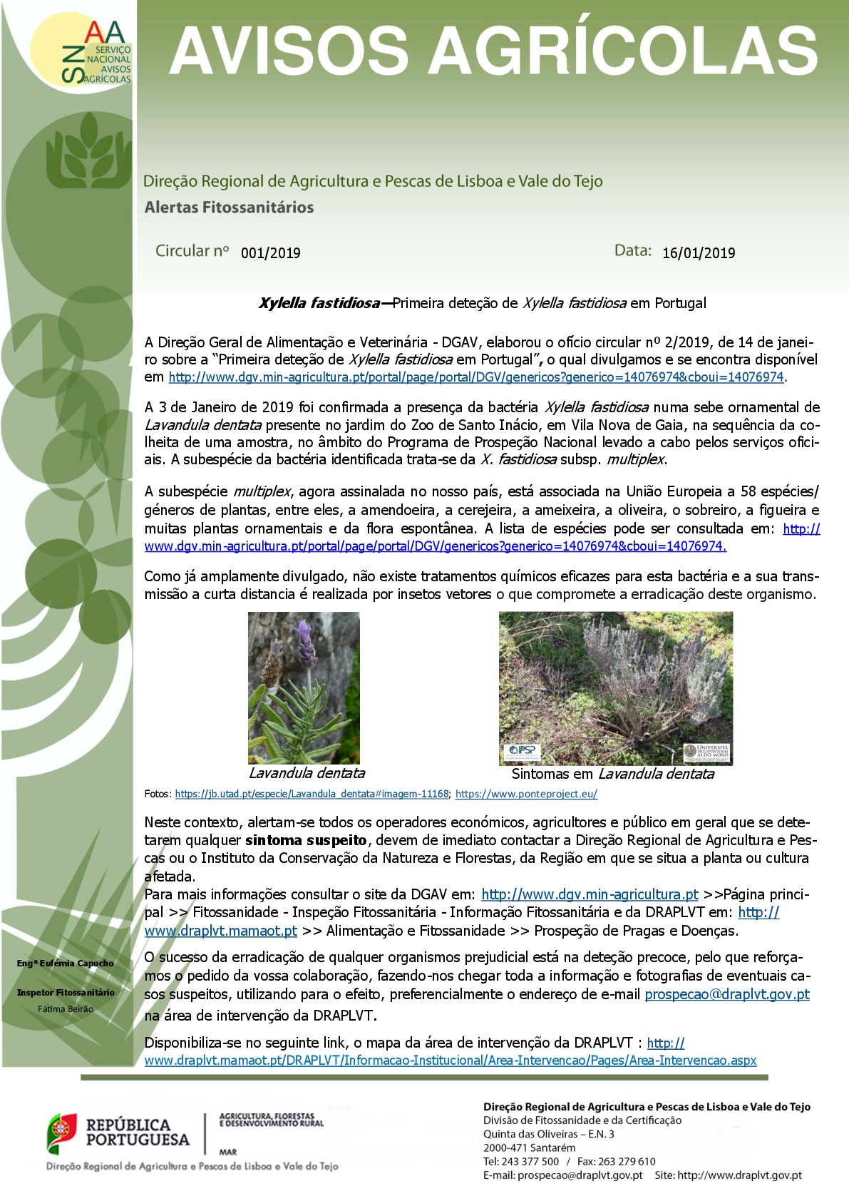 Imagem AVISOS AGRÍCOLAS - ALERTAS FITOSSANITÁRIOS