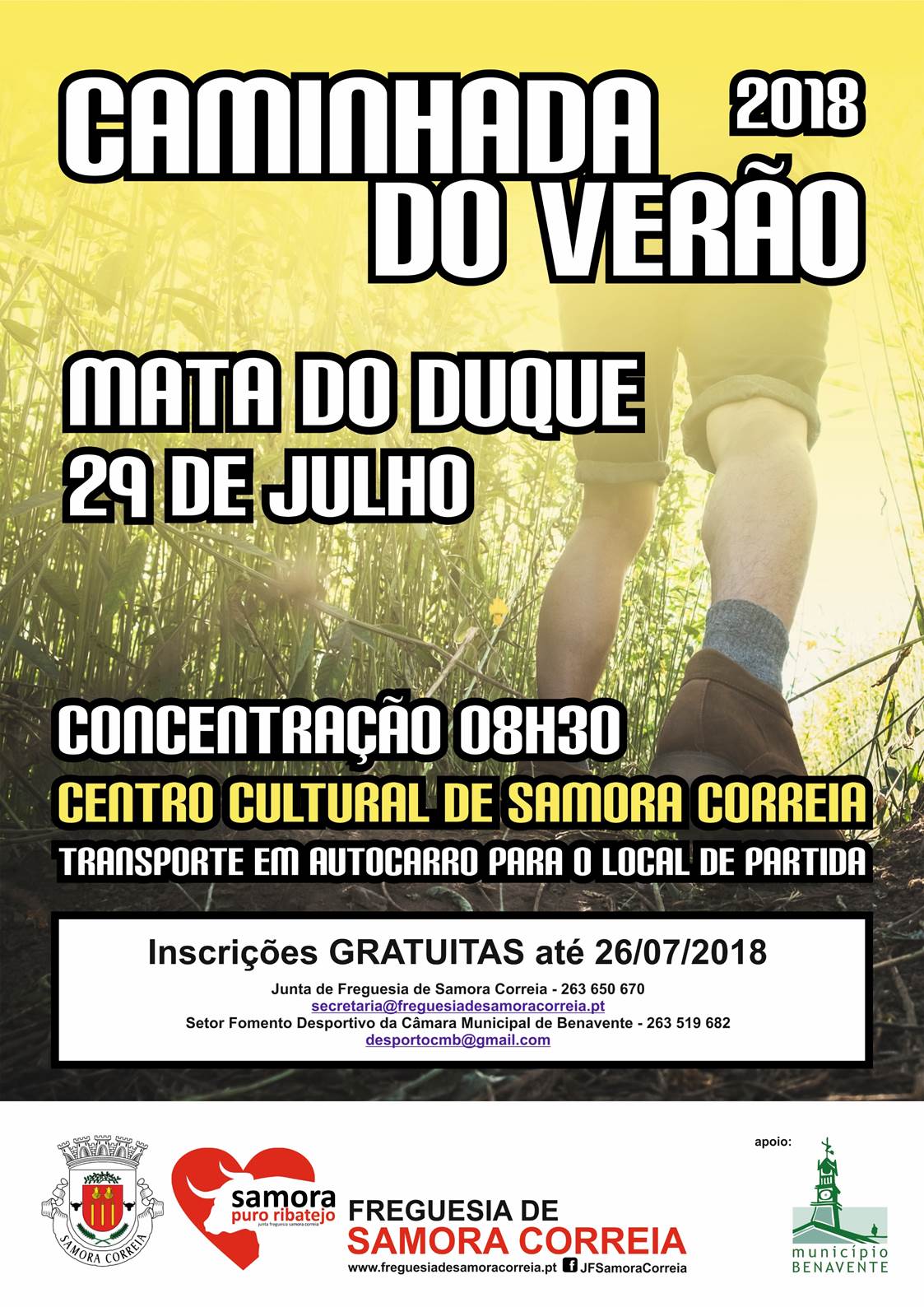 Imagem Caminhada do Verão 2018